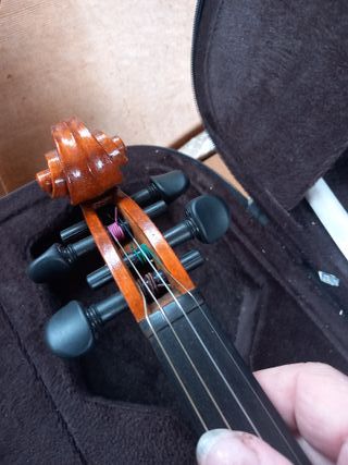 Violín con funda