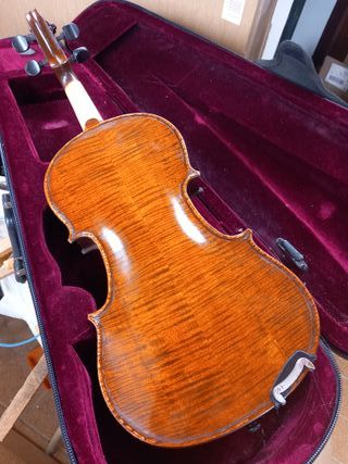 Violín con funda