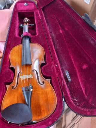Violín con funda