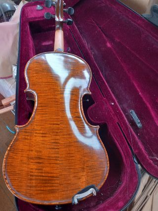 Violín con funda