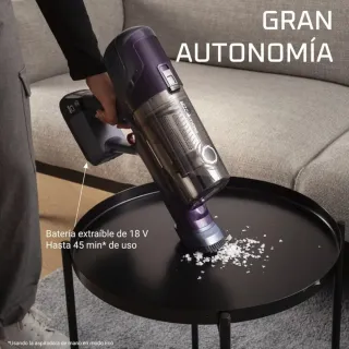 Aspirador Vertical Rowenta XPert 6.60