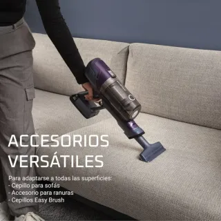 Aspirador Vertical Rowenta XPert 6.60