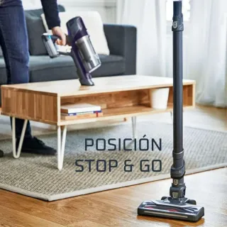 Aspirador Vertical Rowenta XPert 6.60