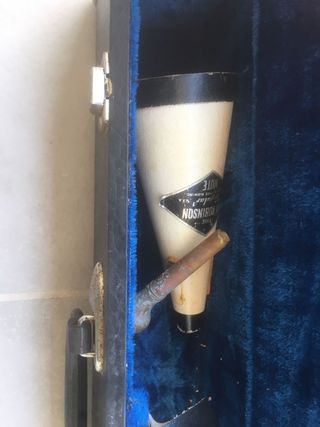 Trompeta dorada con estuche