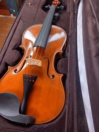 Violín con funda