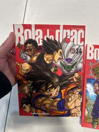 Llibres bola de drac maria
