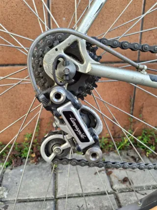 Bicicleta Eddy Merckx Clásica