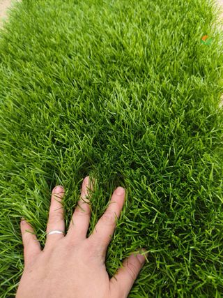 Césped artificial reciclado