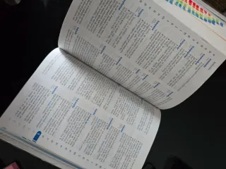 Diccionario de Primaria (Spanish and English Ed...