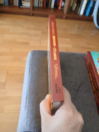 El Jurado Popular | 100 años de cómic | Expedie...