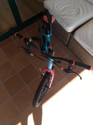 Bicicleta Infantil Megamo 20