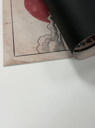 Poster Rana Samurai 30x40 Tela