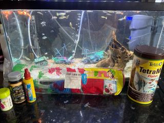 Acuario agua dulce completo