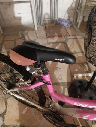 Bicicleta niña de montaña marca JL-Wenti rosa.