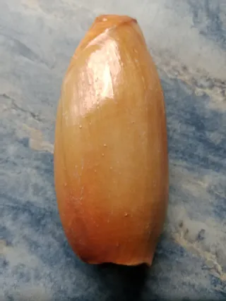 Concha marina decorativa...Espejo de mi Corazónn..