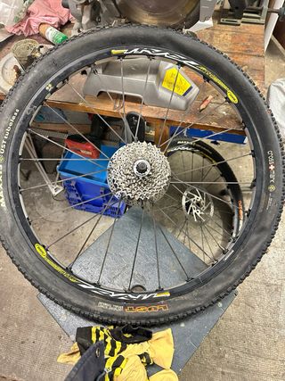 Ruedas Mavic Crosstrail 26