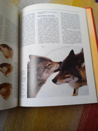 Libro de animales