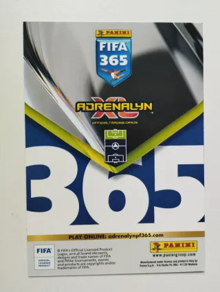 Cromo Adrenalyn XXL Ronaldo Nazario EXCELLENCE