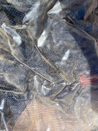 Carro remolque gemelar para bicicletas