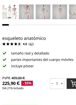 Esqueleto Anatómico Humano Realista