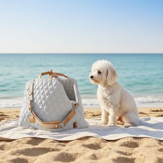 Transportín para Perro Coche Asiento Cojín