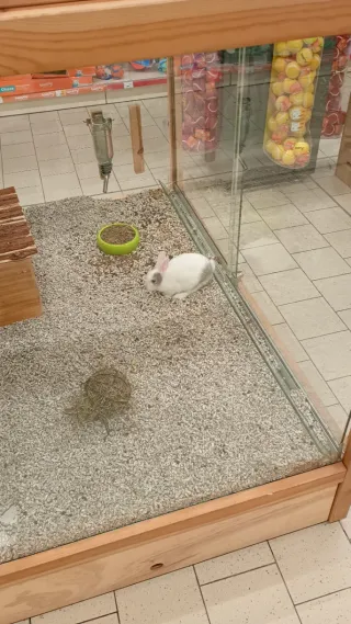 Hola busco trabajo como vigilante nocturno