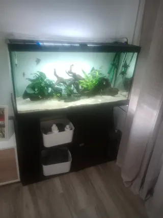 Acuario 200L con mesa