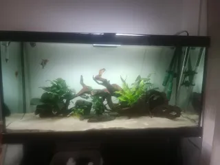 Acuario 200L con mesa