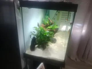 Acuario 200L con mesa
