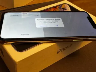 iPhone XS Max Perfetto