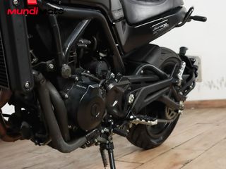 BENELLI LEONCINO 500