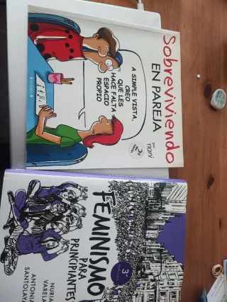 Feminismo para principiantes (Cómic Book) (Span...