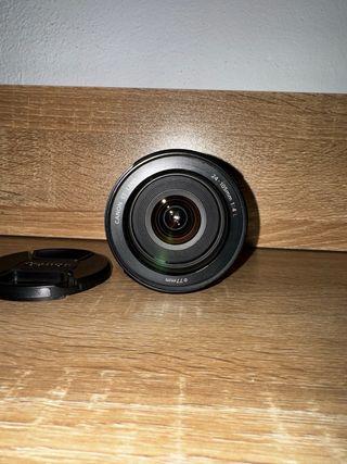 Canon EF 24-105mm f/4 L IS USM