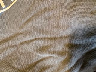 Sudadera Bushbuck Gris con Logo