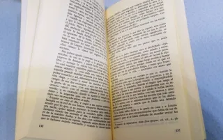 Novelas Ejemplares II