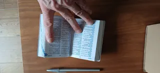 Diccionario español portugués