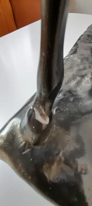 Caballo Escayola Bronce