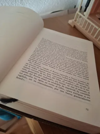 Libro novela español laberinto