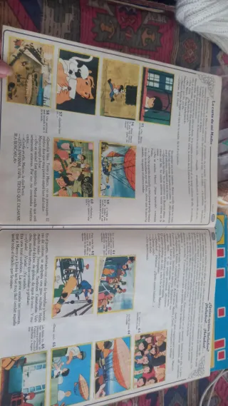 Álbum Cromos Marco Apeninos Andes Danone