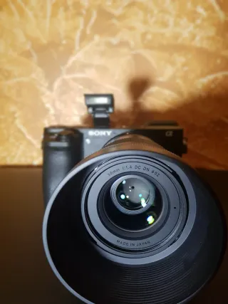 Cámara Sony Mirrorless + Accesorios