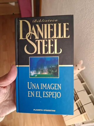 Libro novela danielle steel una imagen en el espej