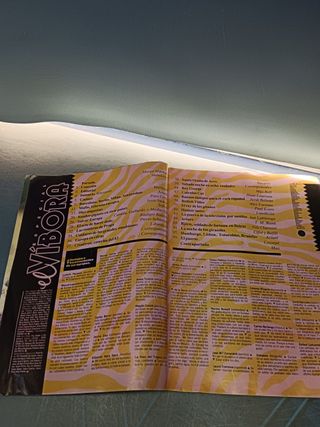 revista, cómic, EL VÍBORA - ESPECIAL EUROPA VIVA - EDICIONES LA CÚPULA