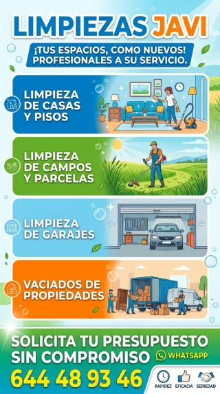 ((Limpiezas y vaciados))