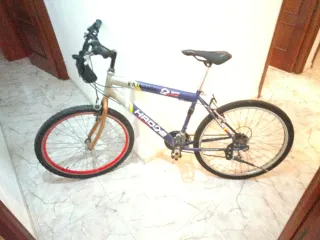 Bicicleta HADOSE