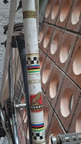 Bicicleta Peugeot Record Du Monde 1972