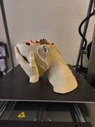 Cuenco Cabeza Triste