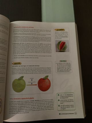 Biología, Geología y Ciencias Ambientales 1 Bac...
