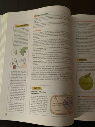 Biología, Geología y Ciencias Ambientales 1 Bac...