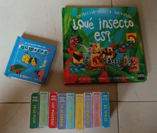 Libros prescolar Micky, números, leer y adivinar