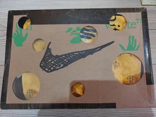 Nike x Off White Dunk Low